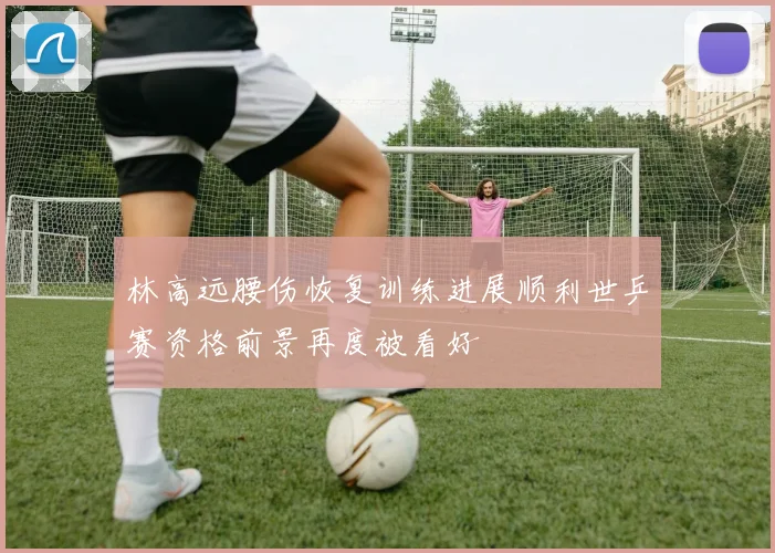 林高远腰伤恢复训练进展顺利世乒赛资格前景再度被看好