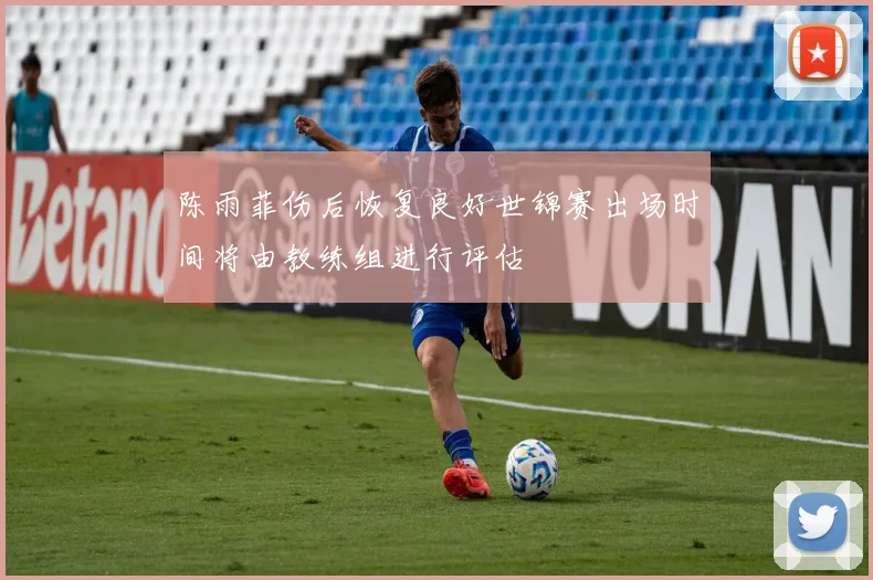 陈雨菲伤后恢复良好世锦赛出场时间将由教练组进行评估