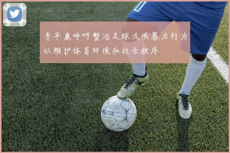 李平康呼吁整治足球流氓暴力行为以维护体育环境和社会秩序
